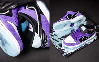 EL HAYLEY WILSON X NIKE SB DUNK LOW