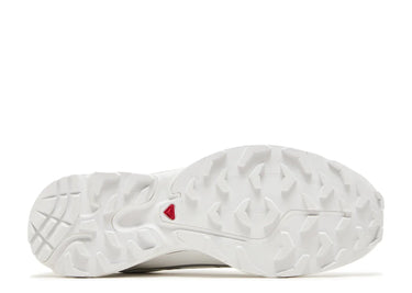 SALOMON XT-6 'WHITE SILVER'